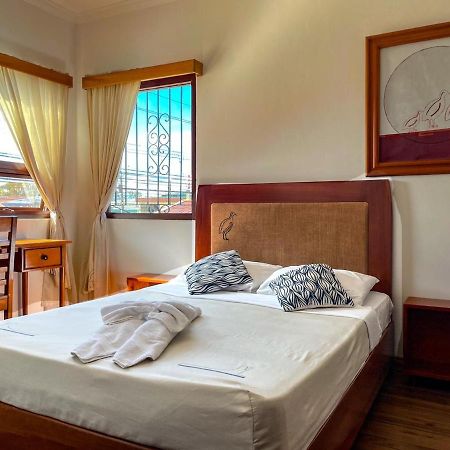 Hotel Luz De Luna San José Dış mekan fotoğraf