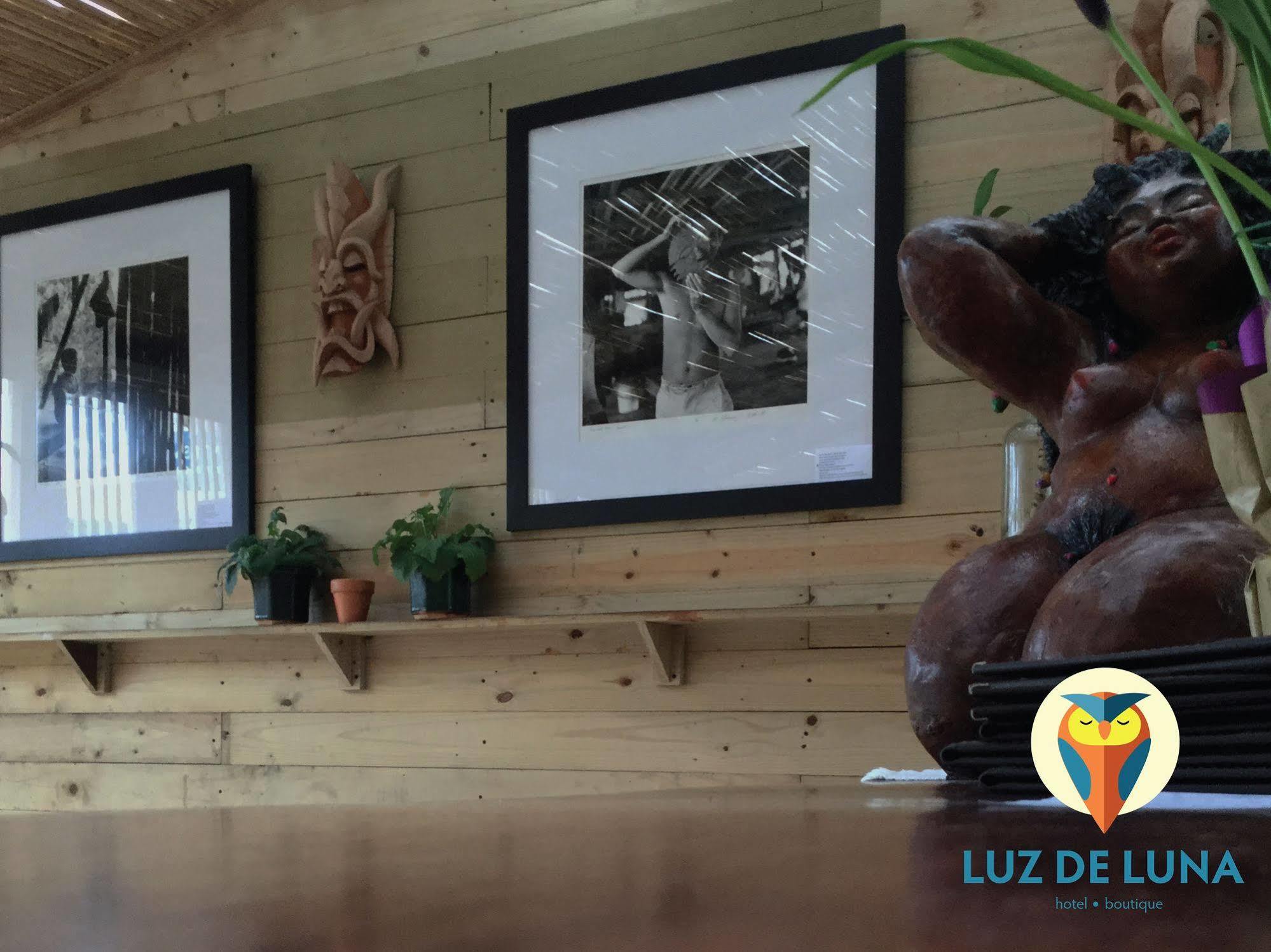 Hotel Luz De Luna San José Dış mekan fotoğraf